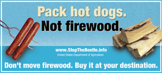 pack hot dogs not firewood