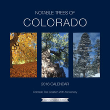 Colorado Notable Trees - ArborScape Denver Tree Service blog